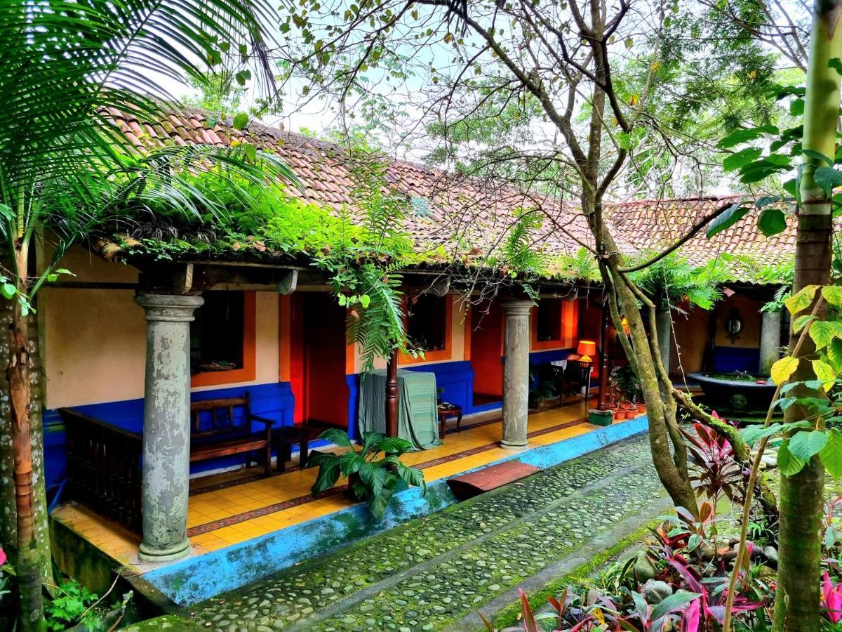 Casa Hotel Mare Nostrvm Manuel Antonio Εξωτερικό φωτογραφία